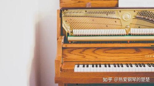 印尼巴士模拟器国产车辆模组 