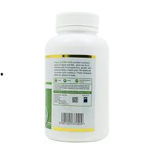 印尼巴士模拟器国产车辆模组 